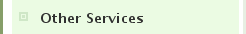 Other Services